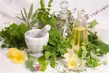 Annual production of medicinal herbs hits 200k tons
